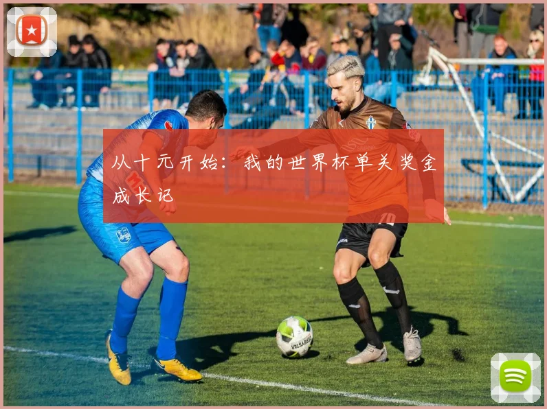从十元开始：我的世界杯单关奖金成长记