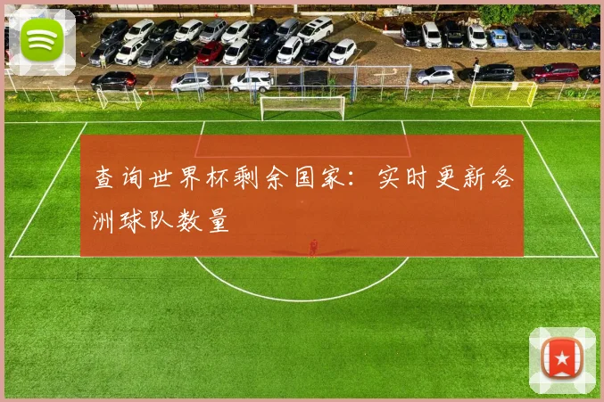 查询世界杯剩余国家：实时更新各洲球队数量