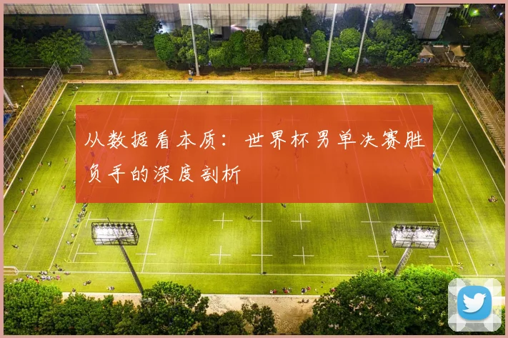 从数据看本质：世界杯男单决赛胜负手的深度剖析